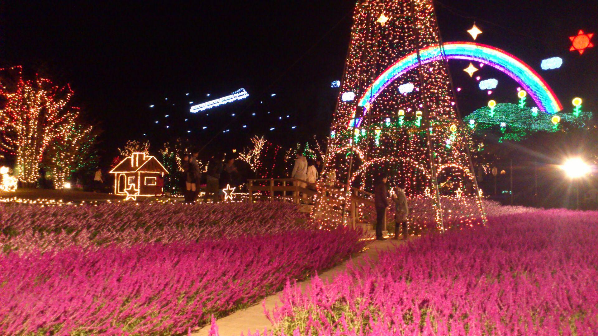 足利花卉公園「光之庭園」燈飾