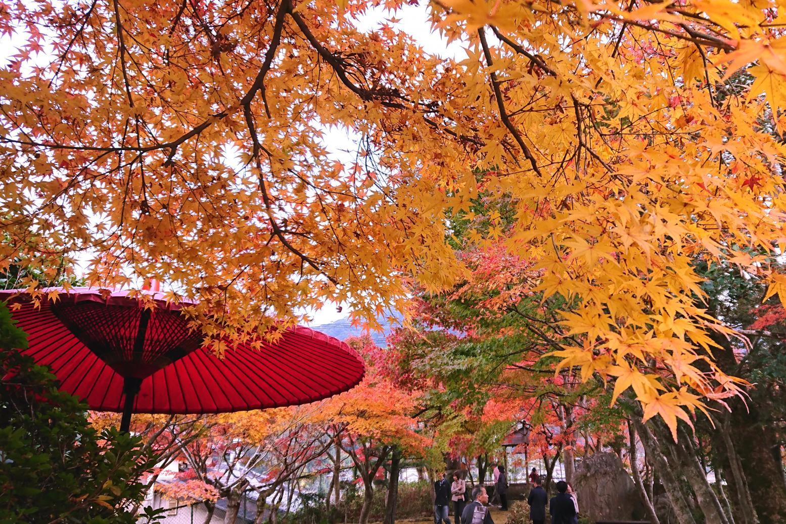 位於長崎市內的迎仙閣。相片來源:(一社)長崎縣觀光聯盟