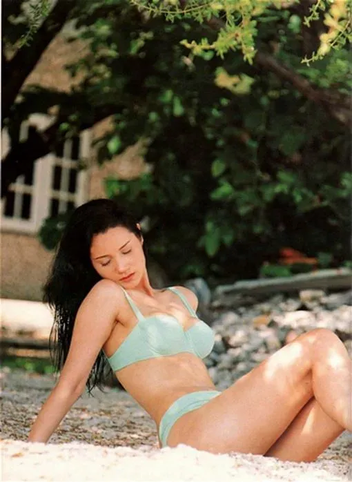 當年鄭艷麗有「翻版李嘉欣」之稱