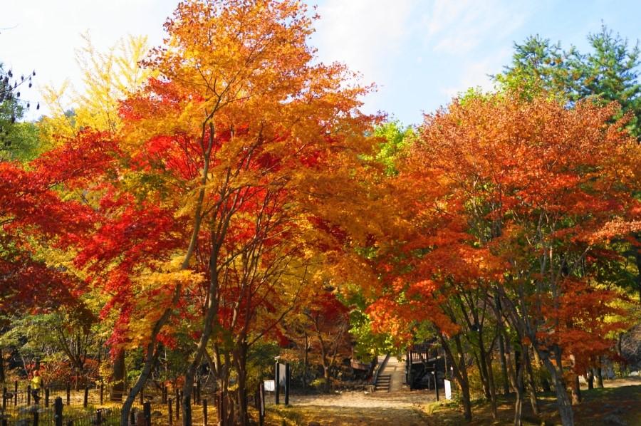 雉岳山國立公園