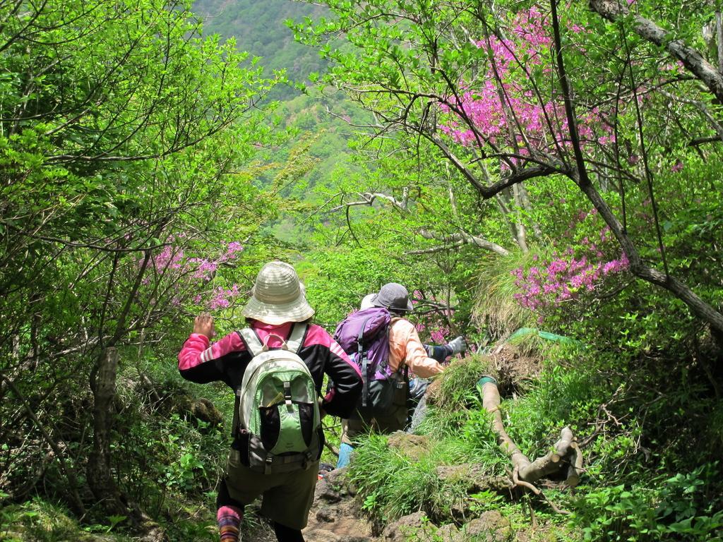 相片來源:(一社)長崎縣觀光聯盟