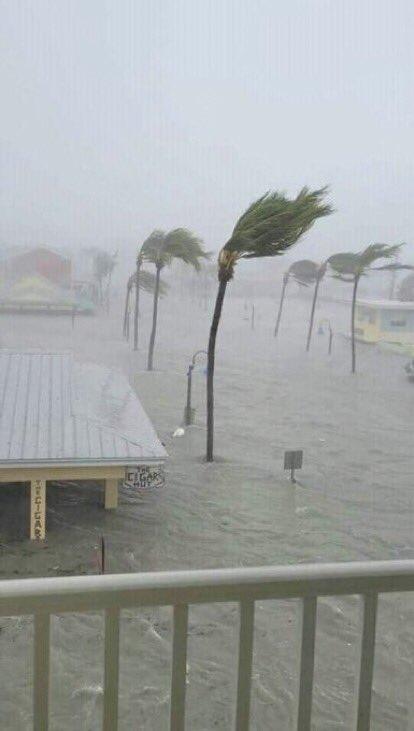 佛州多處水浸。(Twitter)