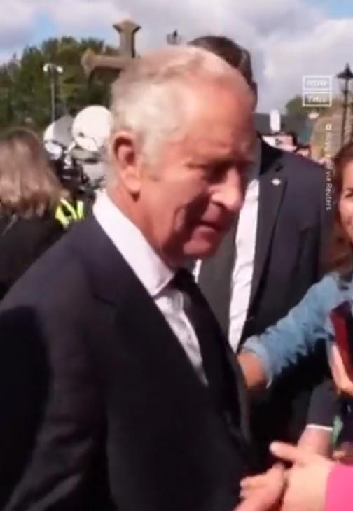 保鑣高大的身形亦將那男子完全遮蓋。(Twitter)