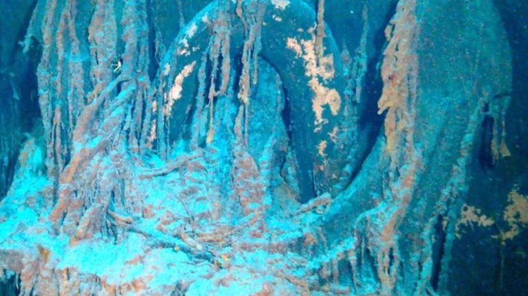 片中可以看到船頭、左舷、船體、錨鍊、貨艙等部位,就連遭到侵蝕或腐爛的痕跡亦清楚可見。(YouTube)