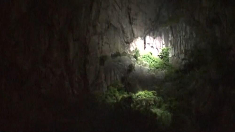 當局派出救援人員登山搜救,政府飛行服務隊亦派出直升機到場協助搜尋。(電視截圖)