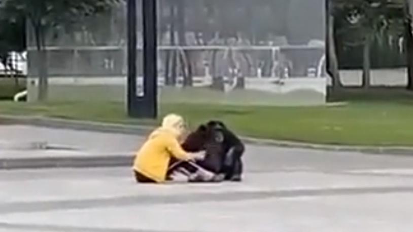 意外地,黑猩猩亦席地而坐,看去似乎與人員傾談。(Twitter)