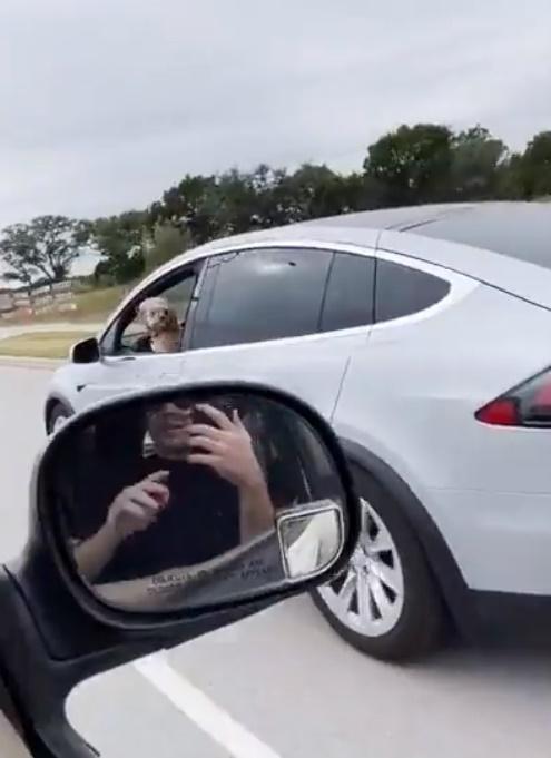 拍片者問:「沒有任何人在裡面,這是合法的嗎?這是允許的嗎?」(Twitter)