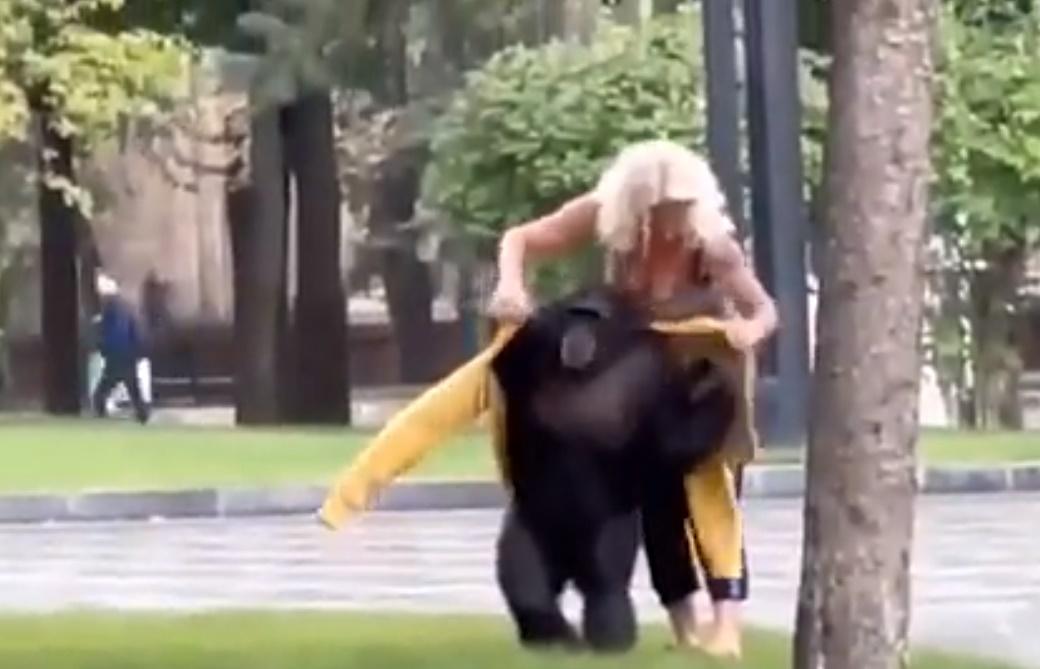 天空下起雨,人員脫下外套給黑猩猩,牠亦很樂意地穿上外套。(Twitter)