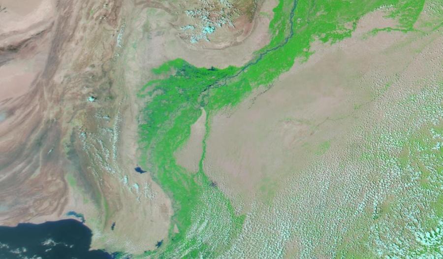 信德省去年8月衛星相片。(網上圖片)