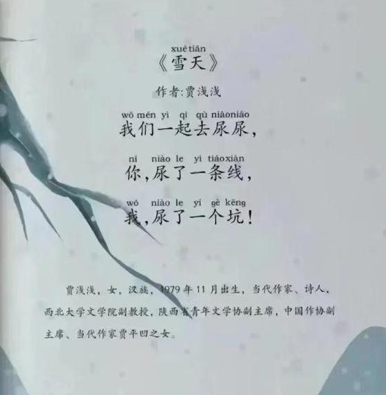 賈淺淺澄清,網傳3首爭議最大的詩作,並非自己所寫。(互聯網)