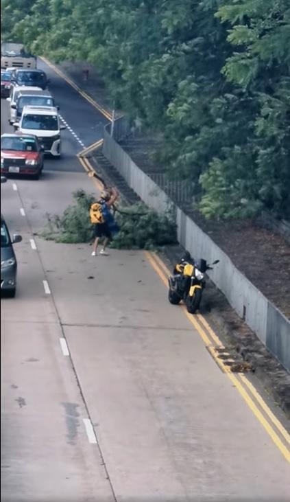 電單車手獨自搬開倒塌在行車線上的大型樹枝。(網片截圖)
