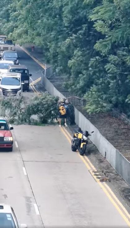 電單車手獨自搬開倒塌在行車線上的大型樹枝。(網片截圖)