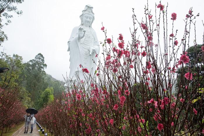 慈山寺觀音誕將於10月15日至16日開放。(資料圖片)