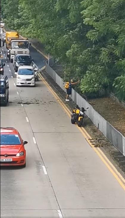 電單車手直到確定樹枝未有再露出路面後,方才離開現場。(網片截圖)