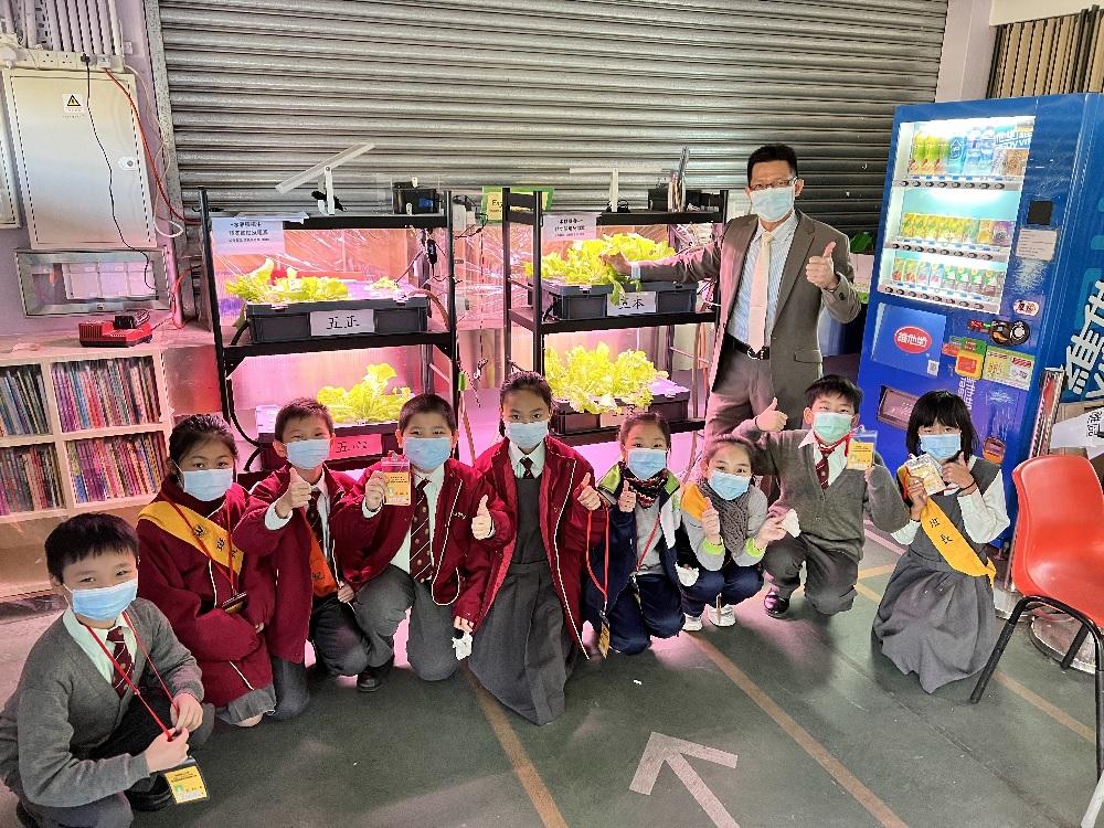 學生在常識科進行水耕的課外活動。