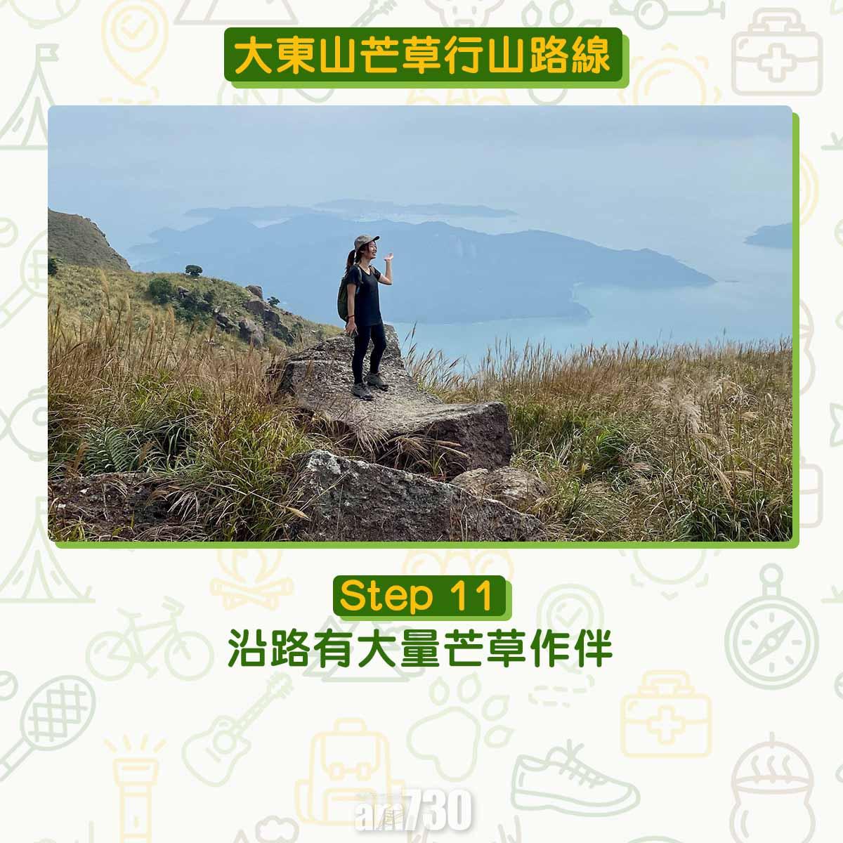 大東山芒草行山路線