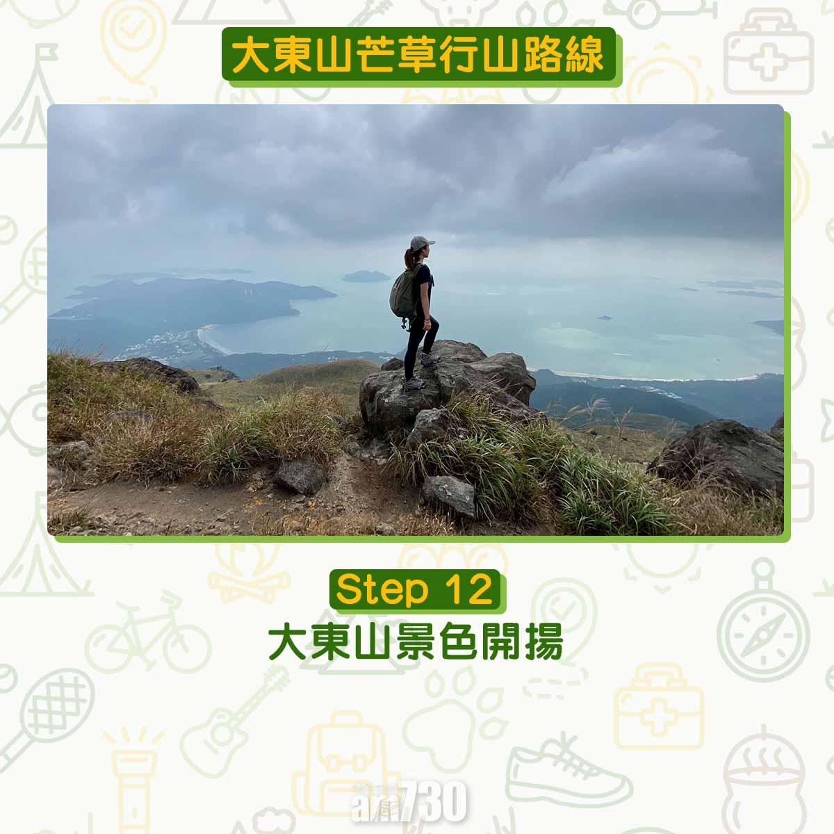 大東山芒草行山路線