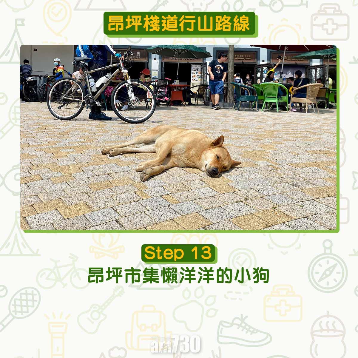 昂坪棧道行山路線