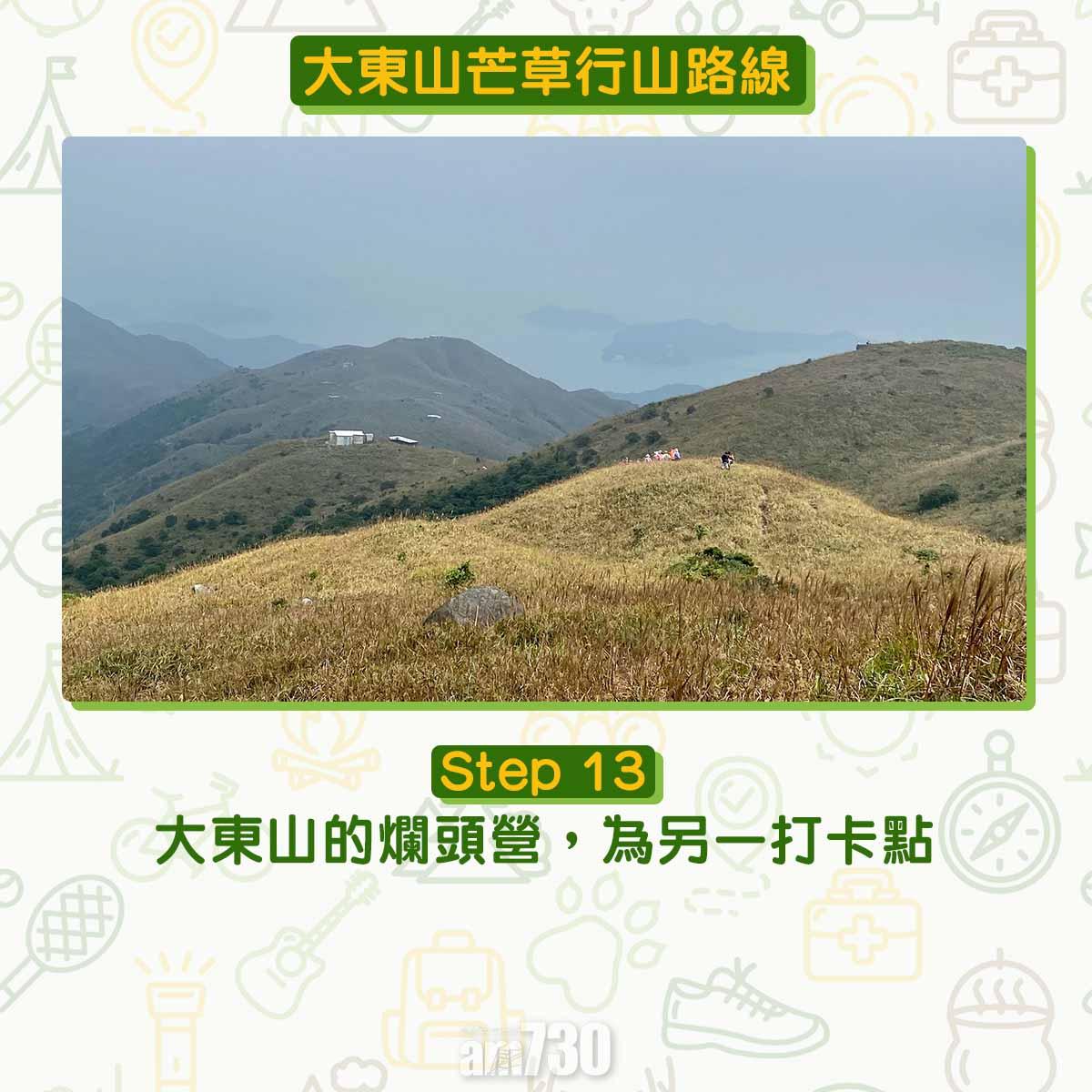 大東山芒草行山路線