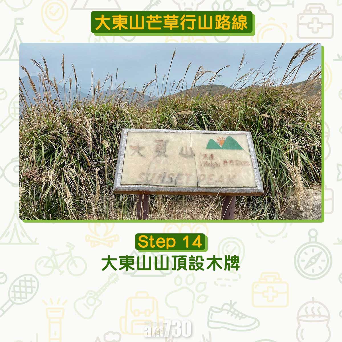 大東山芒草行山路線