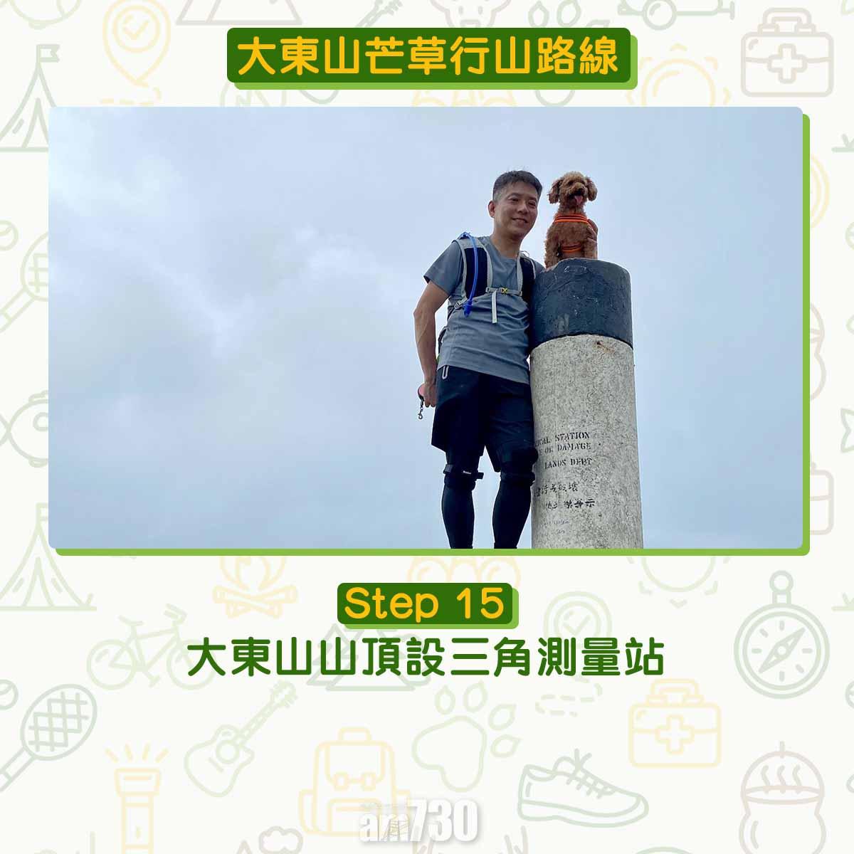 大東山芒草行山路線