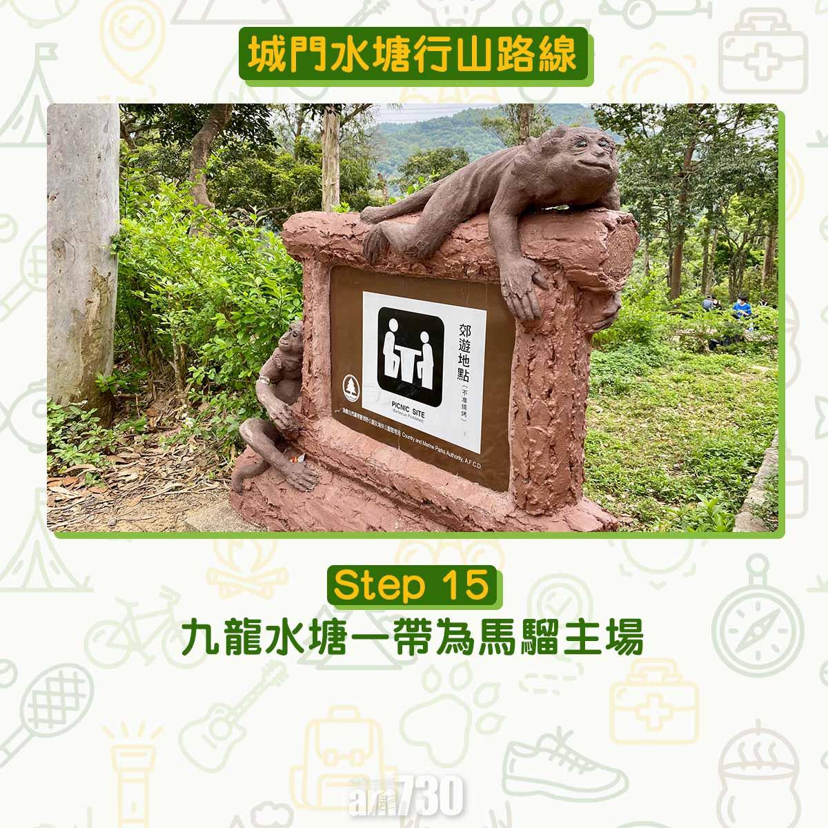 城門水塘行山路線