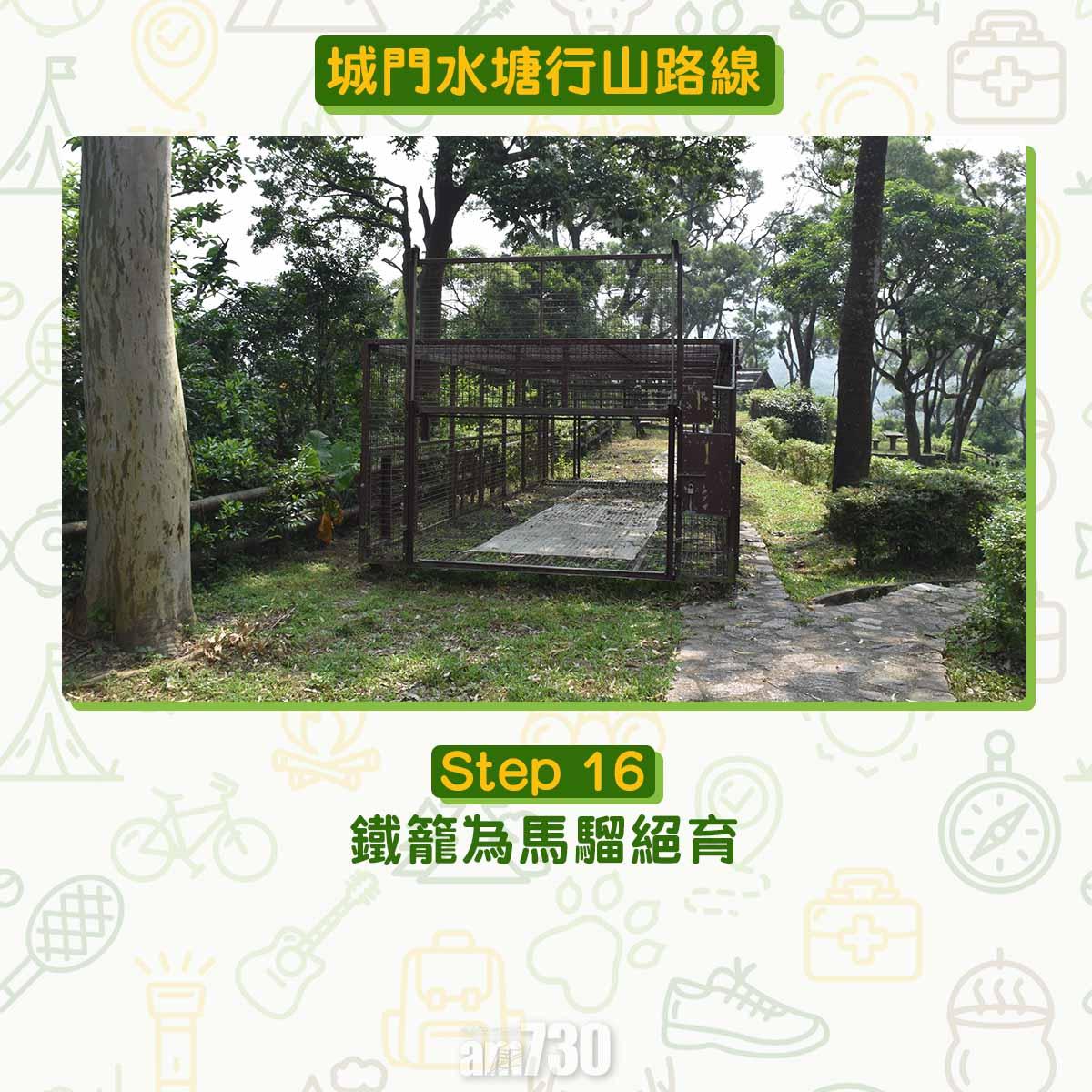 城門水塘行山路線