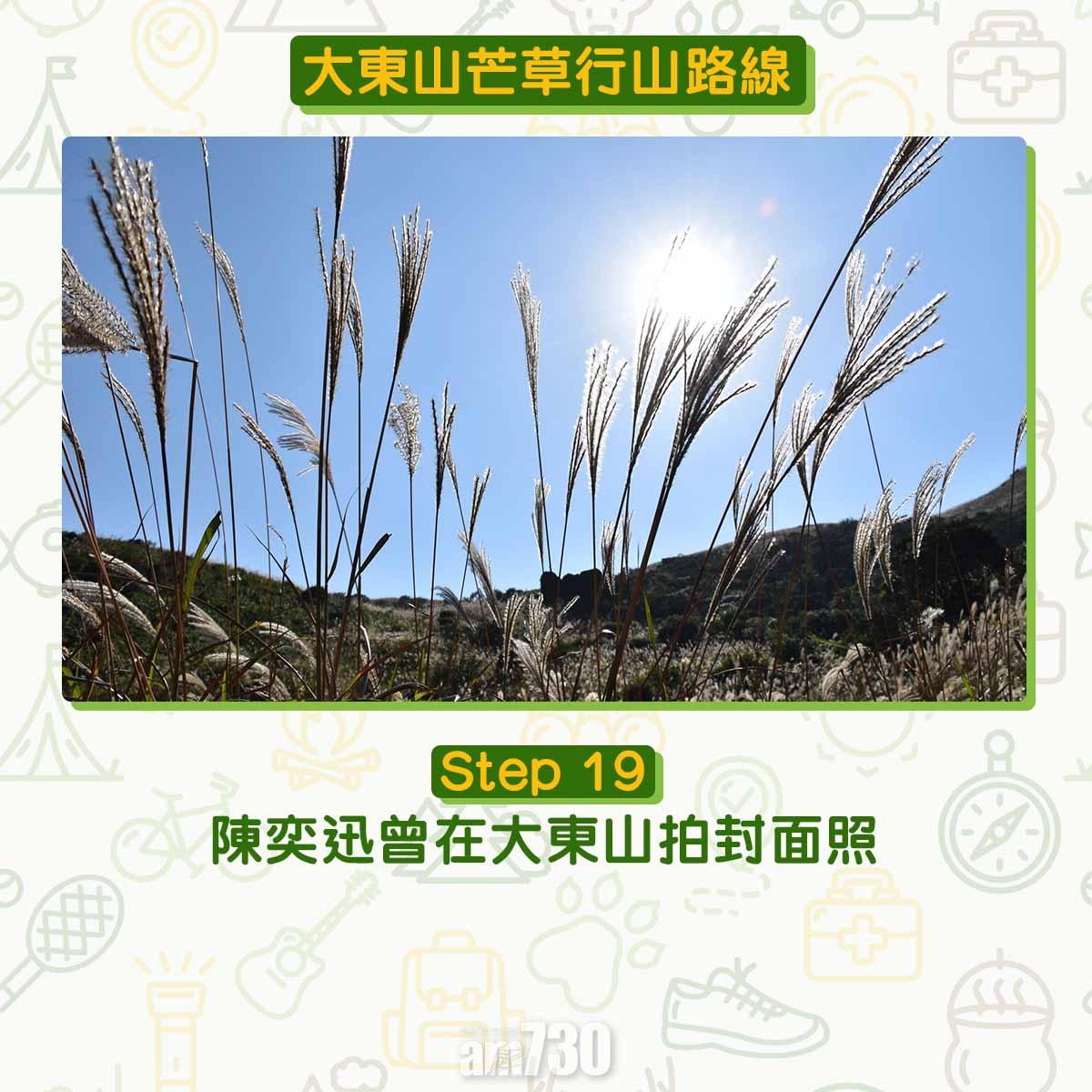 大東山芒草行山路線