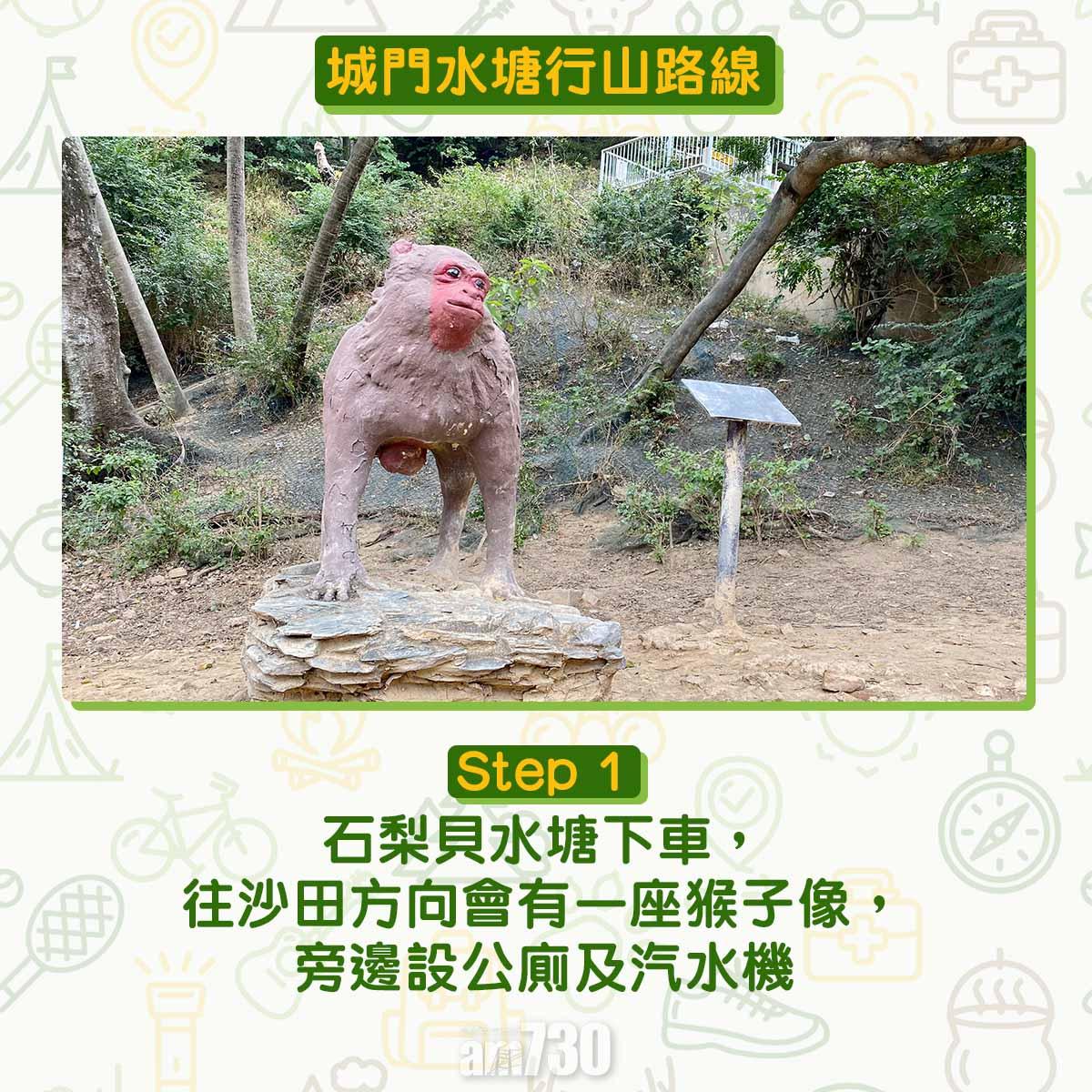 城門水塘行山路線