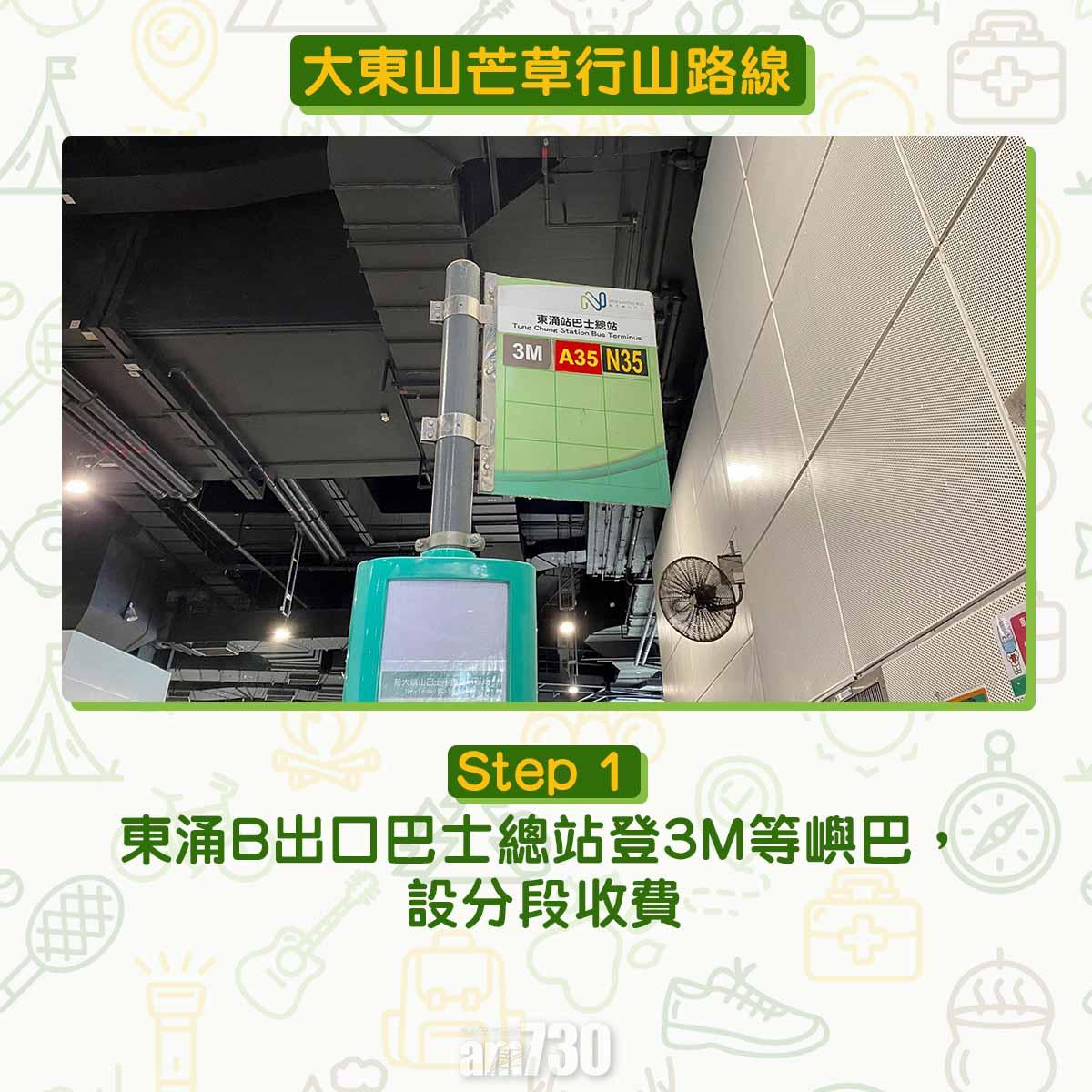 大東山芒草行山路線