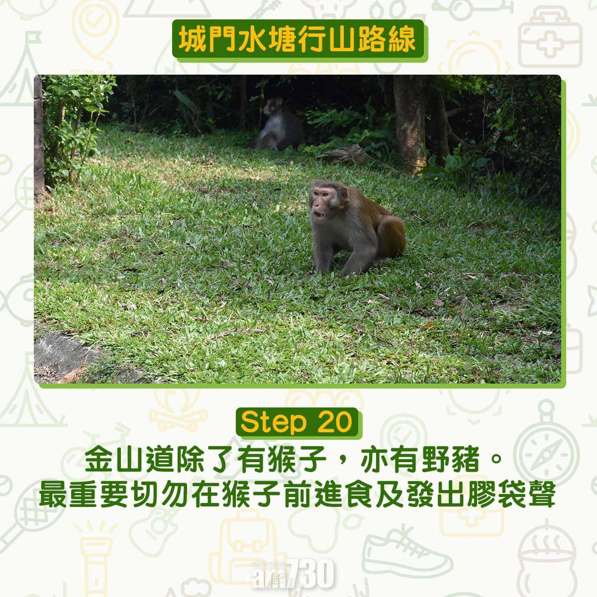 城門水塘行山路線