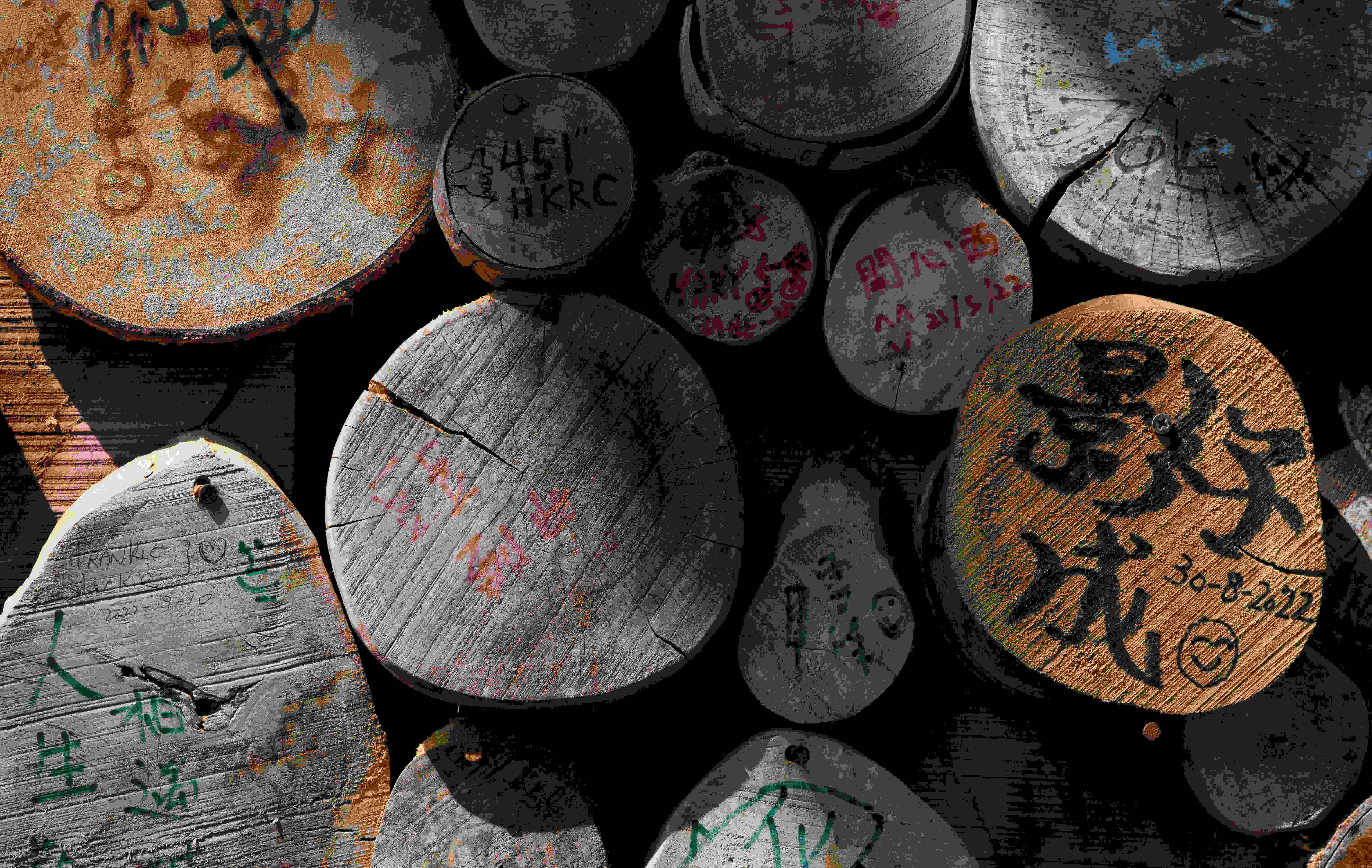 上水 古洞 上水古洞志記鎅木廠最後一天