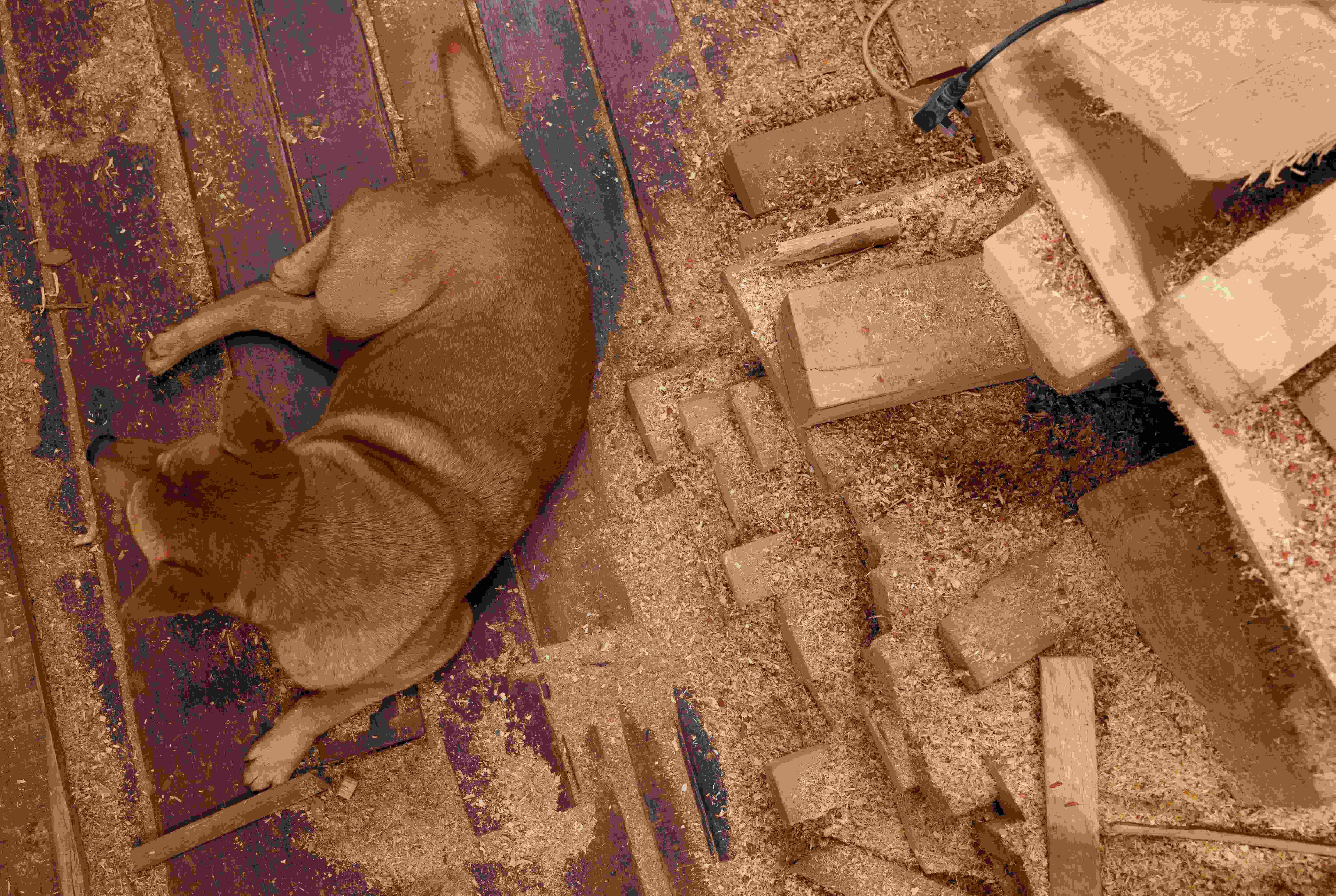 上水 古洞 上水古洞志記鎅木廠最後一天