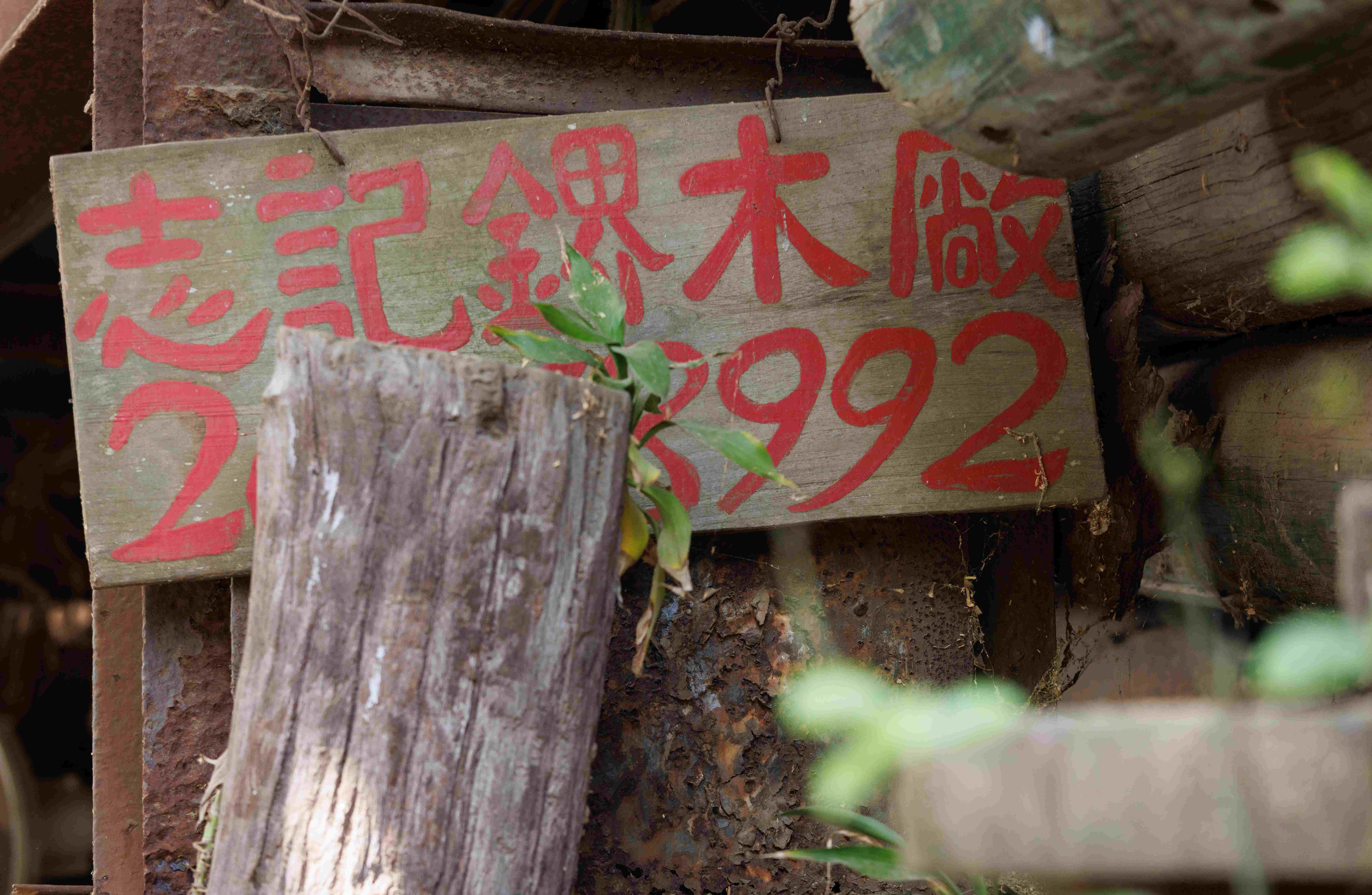 上水 古洞 上水古洞志記鎅木廠最後一天