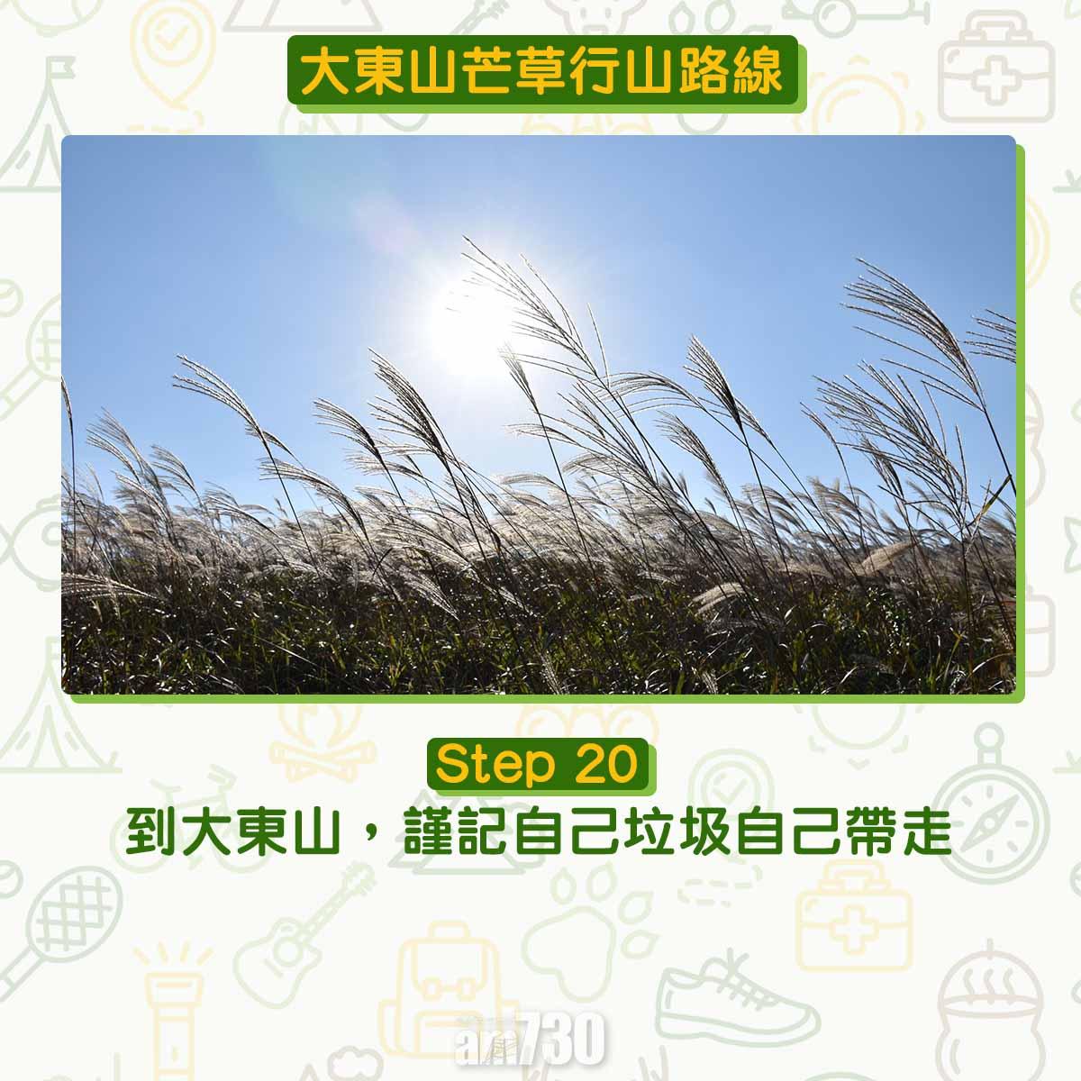 大東山芒草行山路線