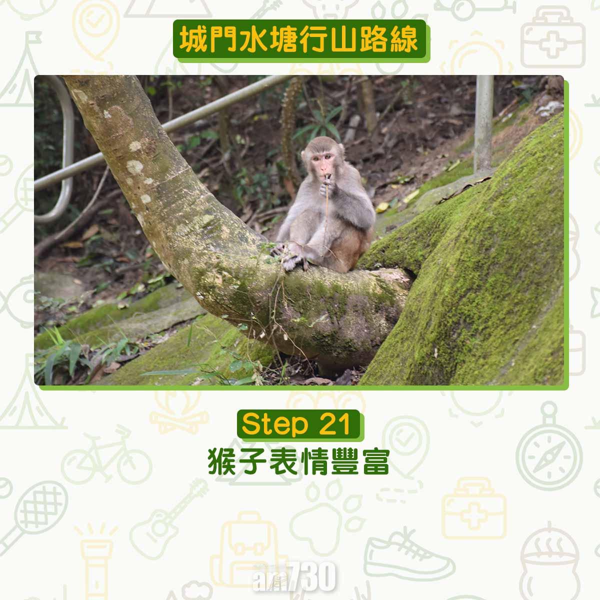 城門水塘行山路線