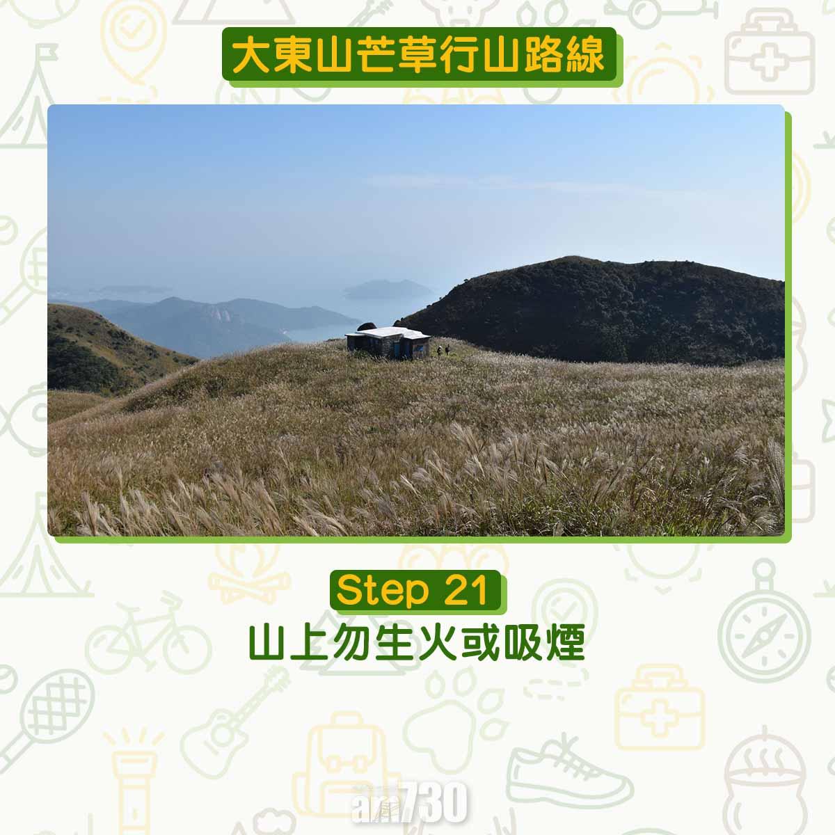 大東山芒草行山路線