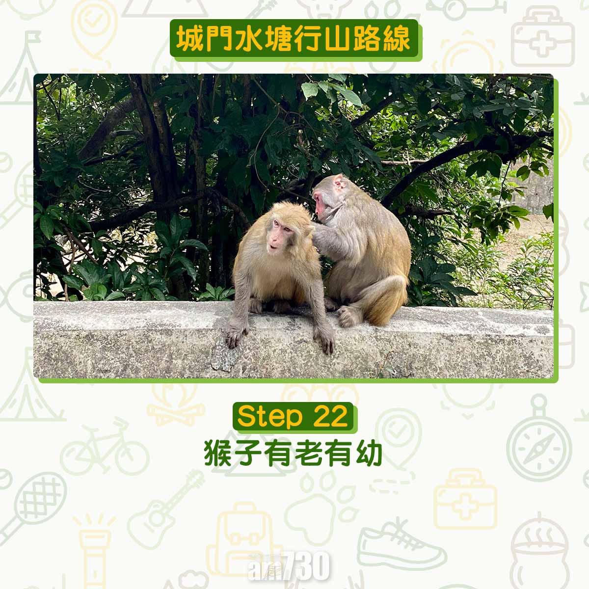 城門水塘行山路線