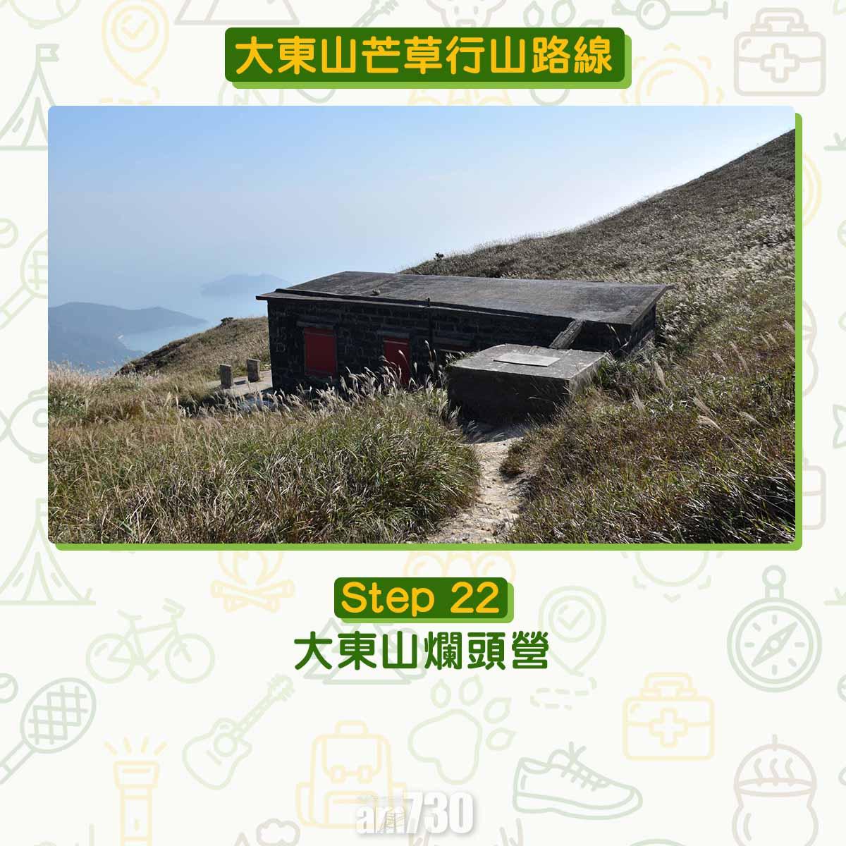 大東山芒草行山路線