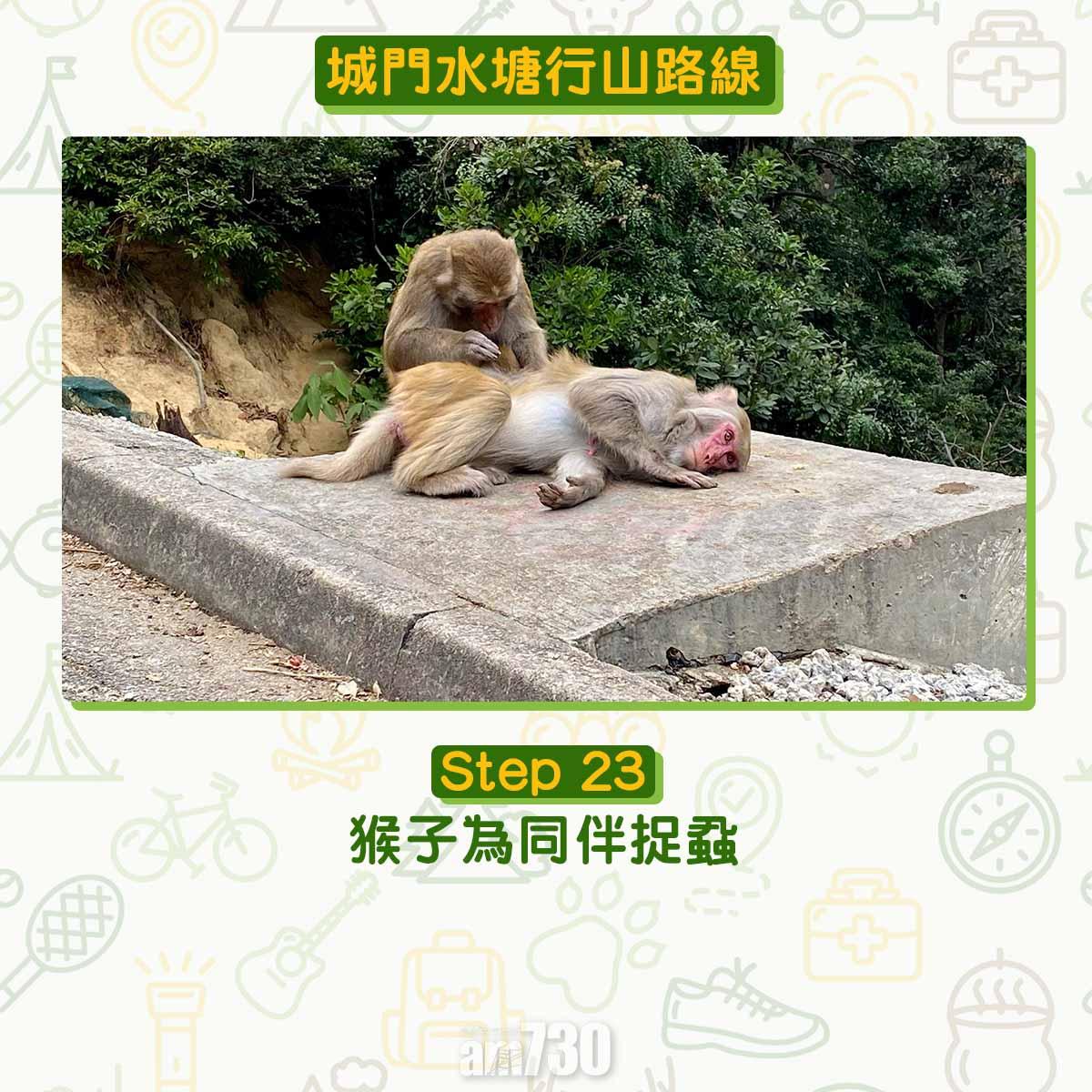 城門水塘行山路線