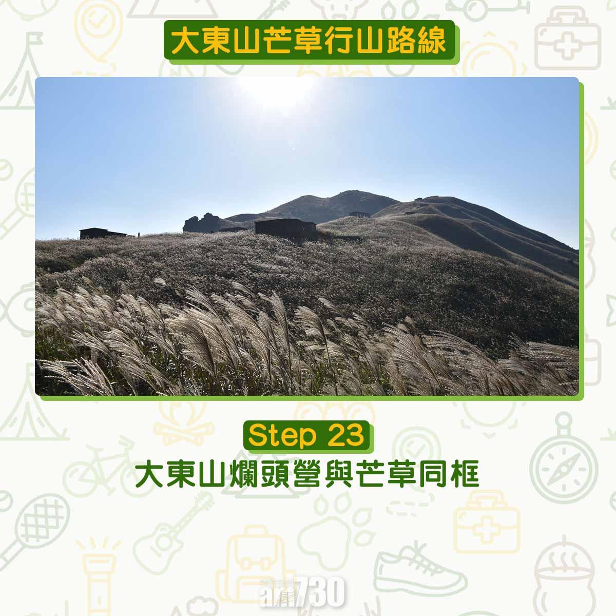 大東山芒草行山路線