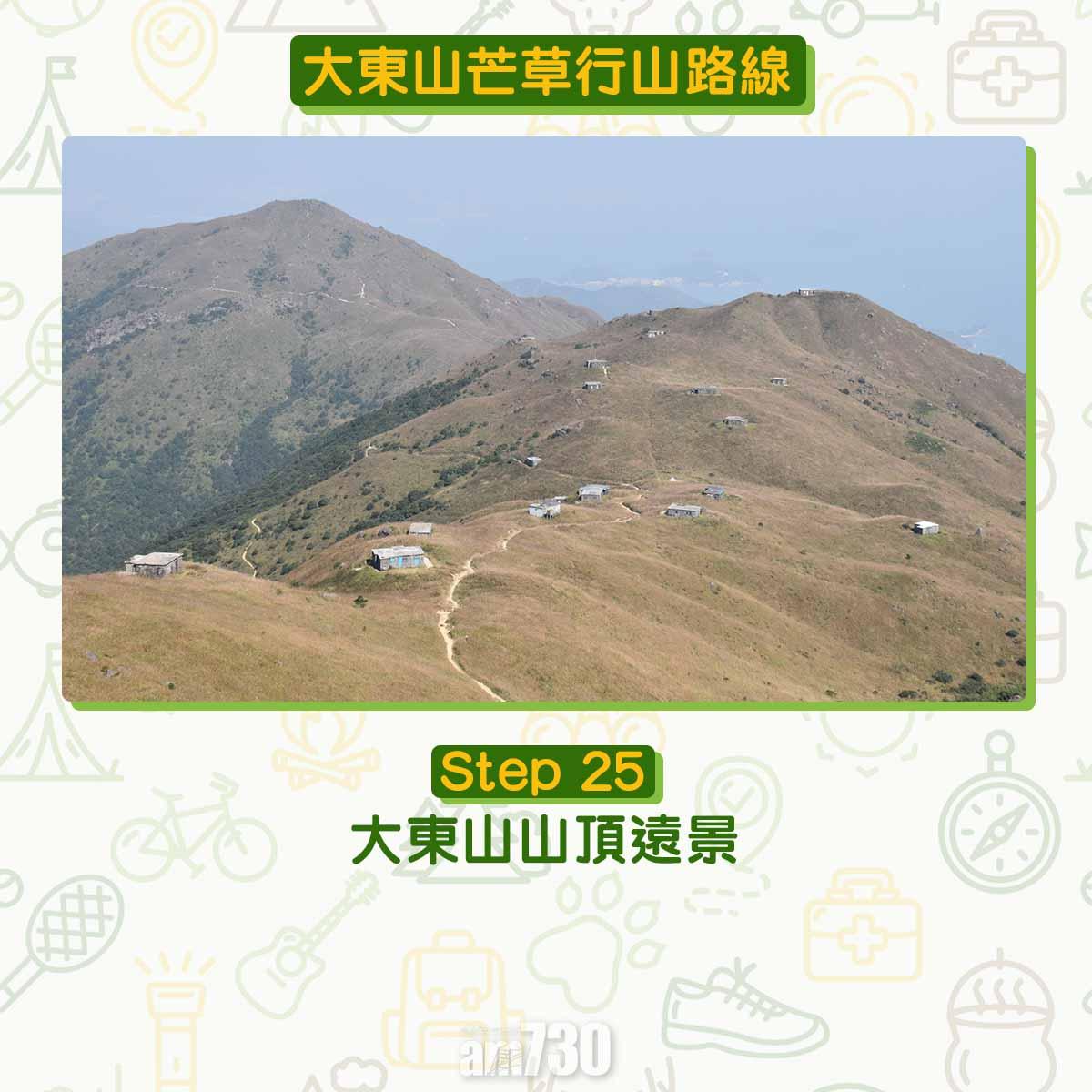 大東山芒草行山路線