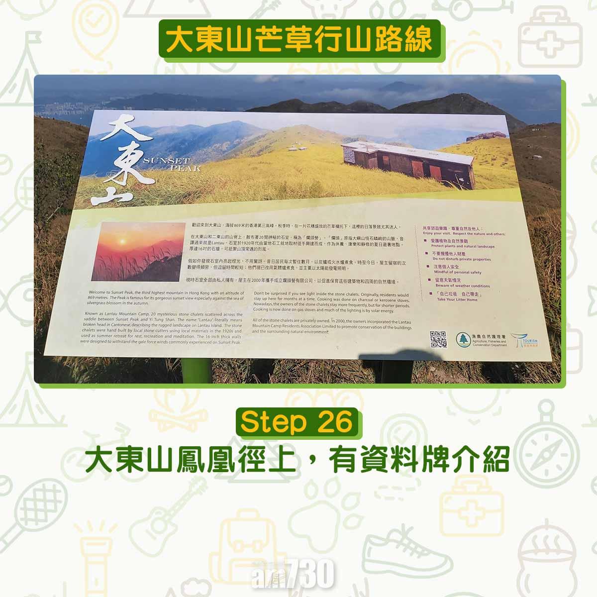 大東山芒草行山路線