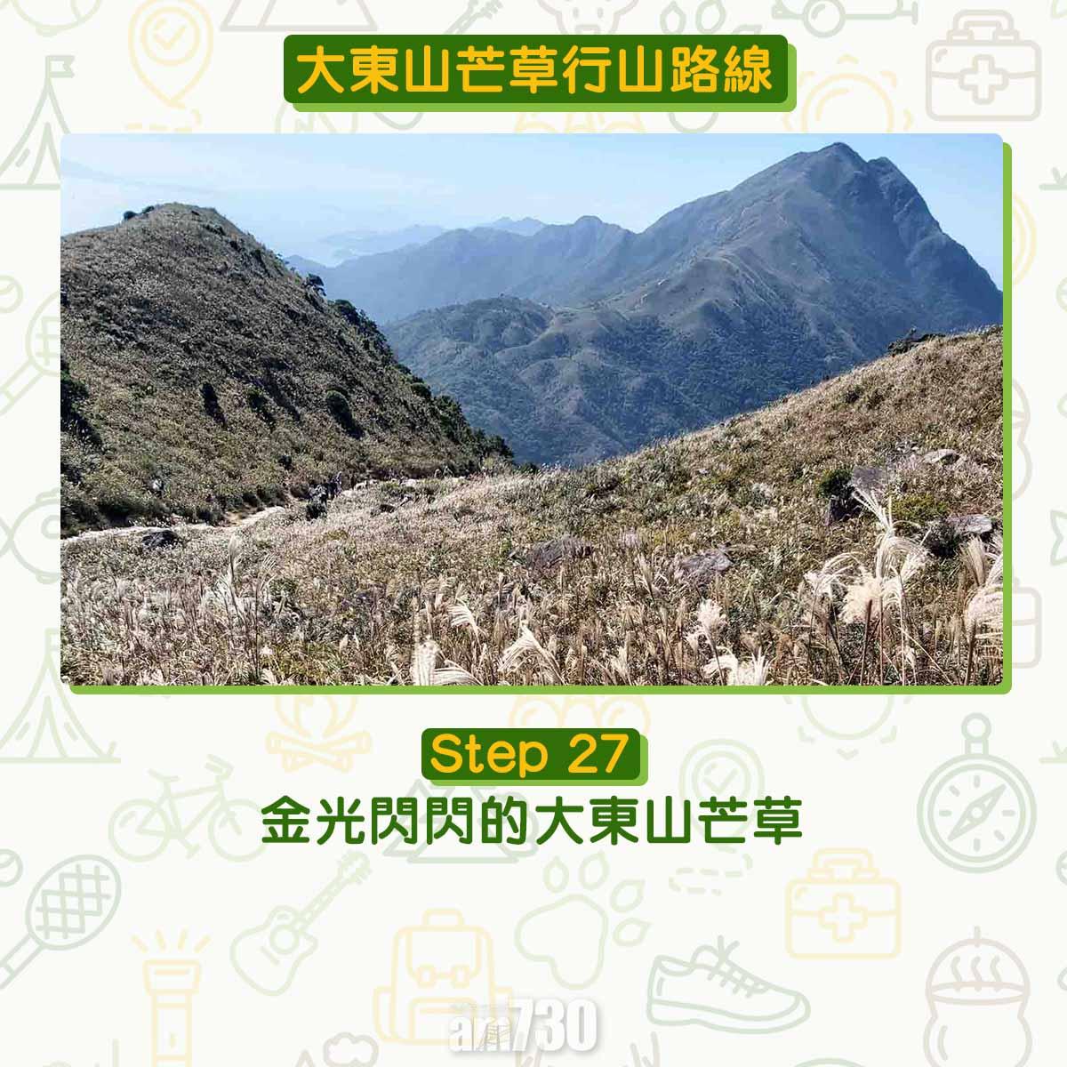 大東山芒草行山路線