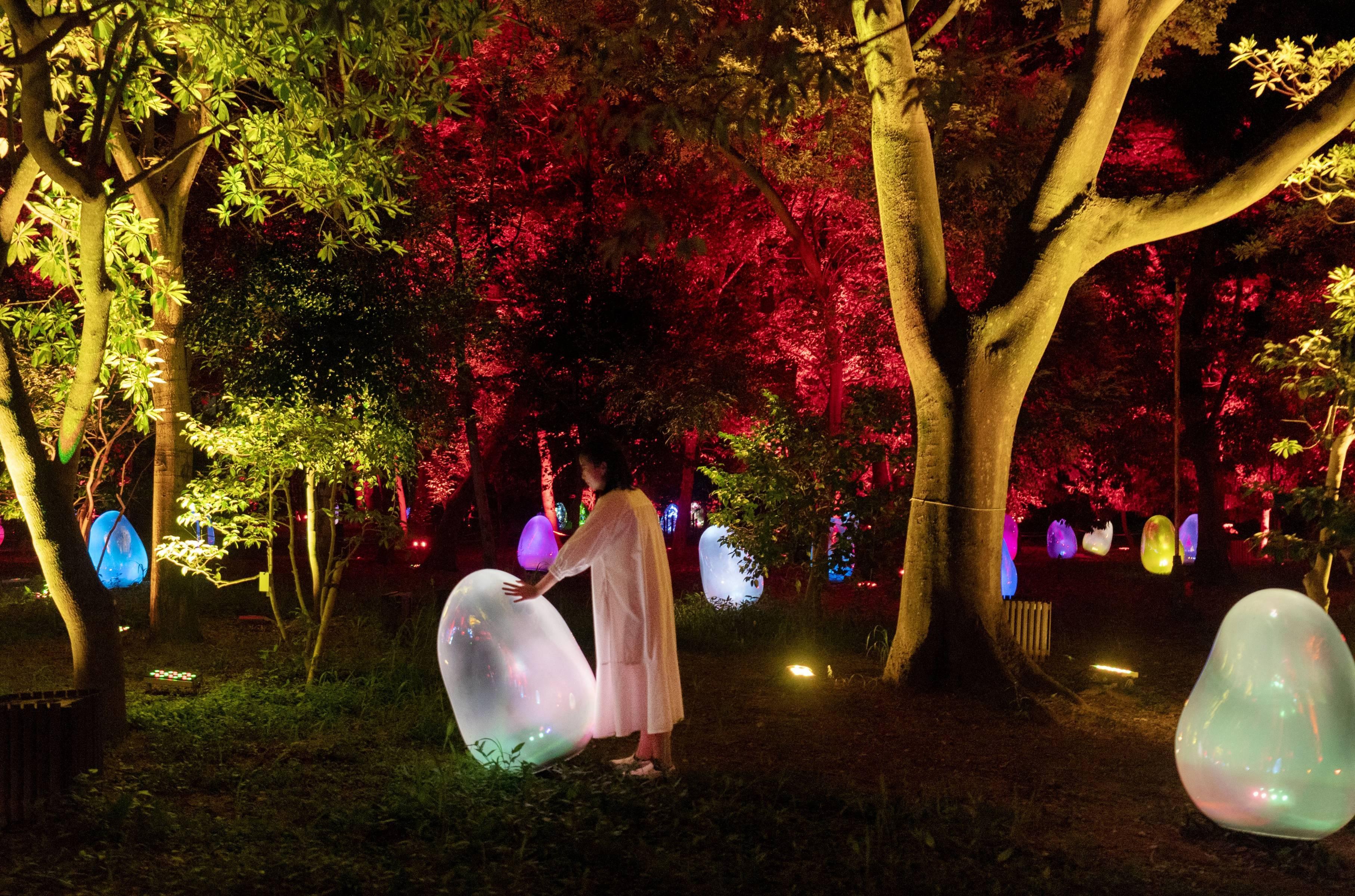 大阪Team Lab Botanical