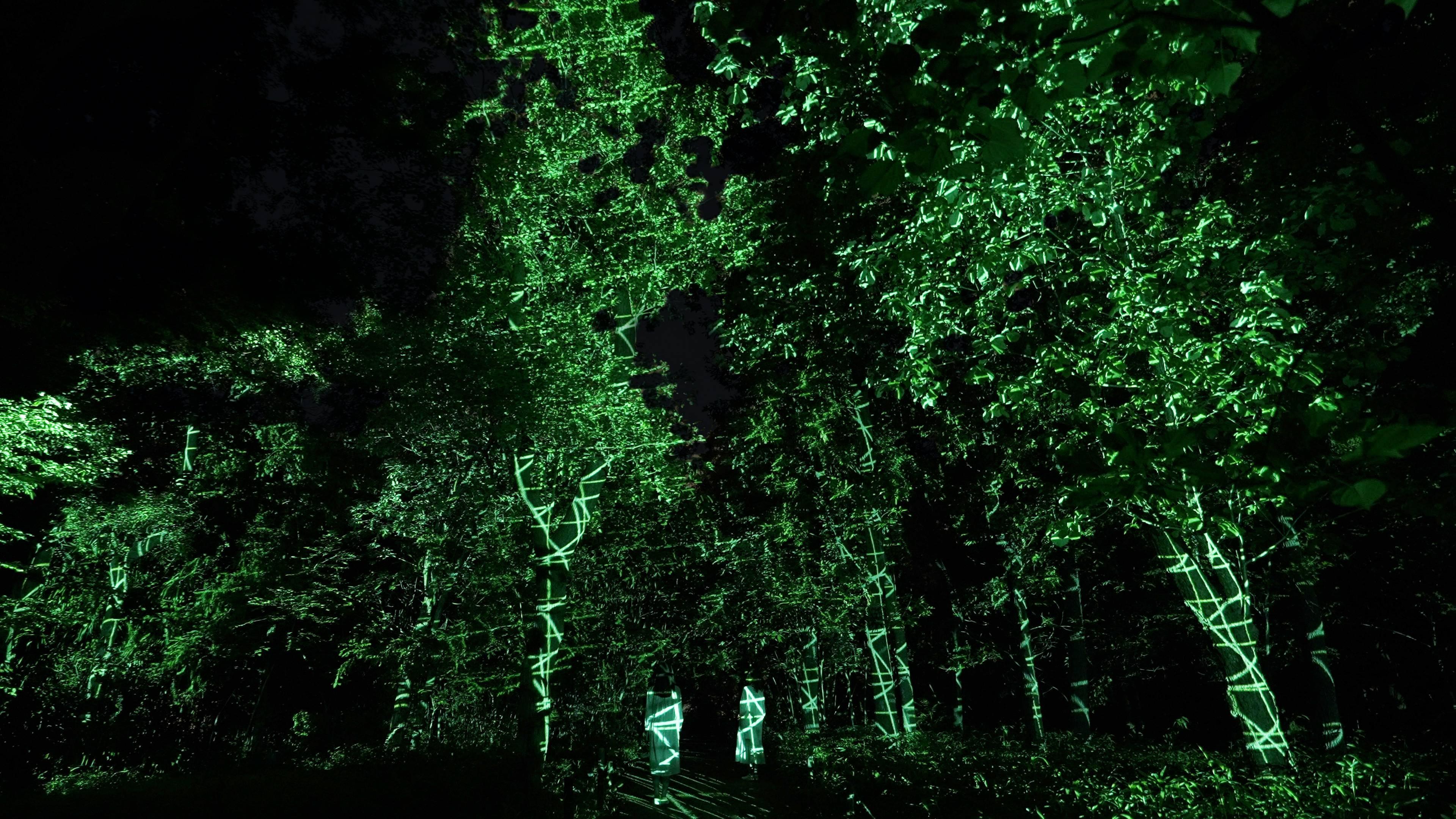 大阪Team Lab Botanical