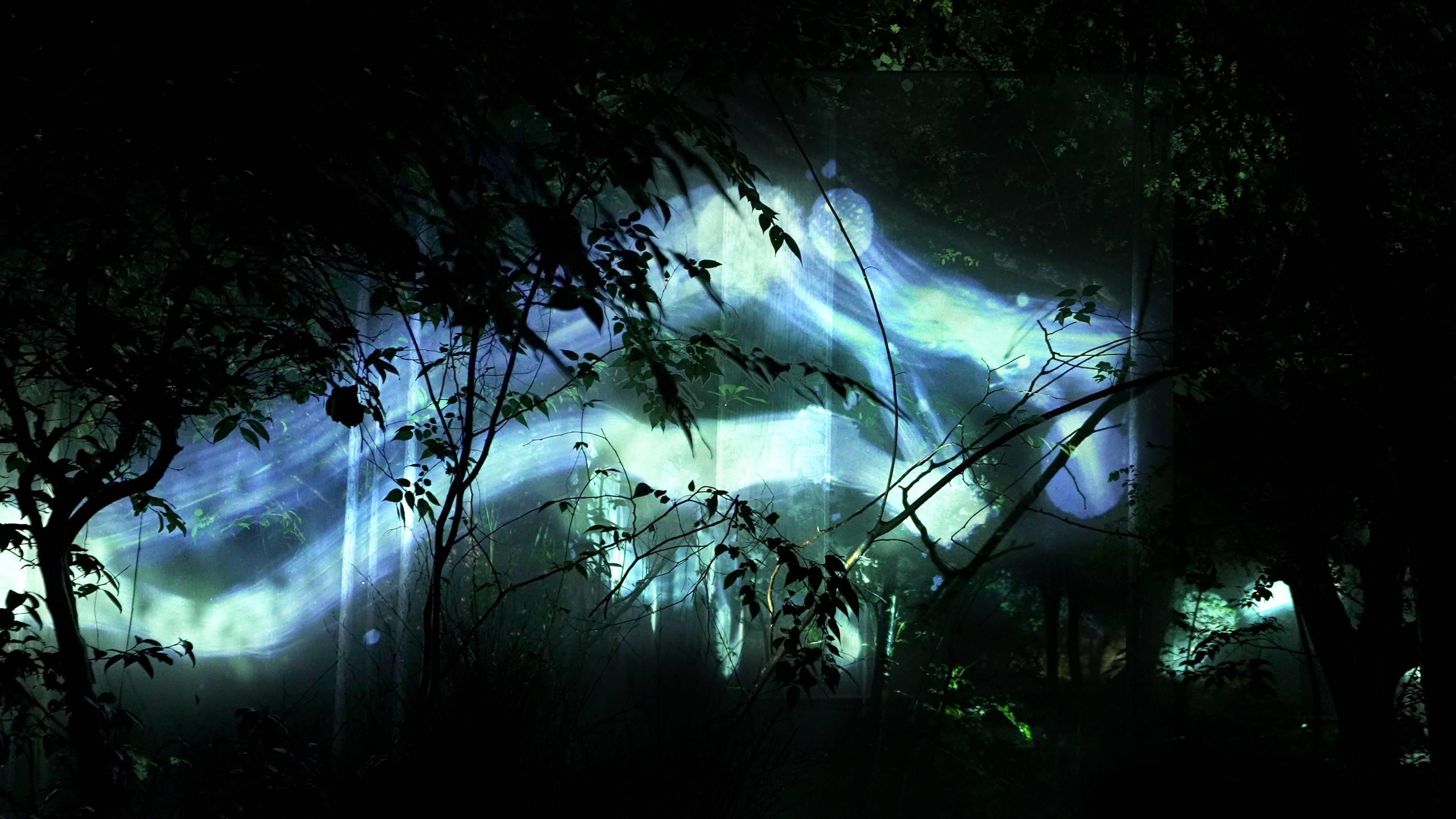 大阪Team Lab Botanical