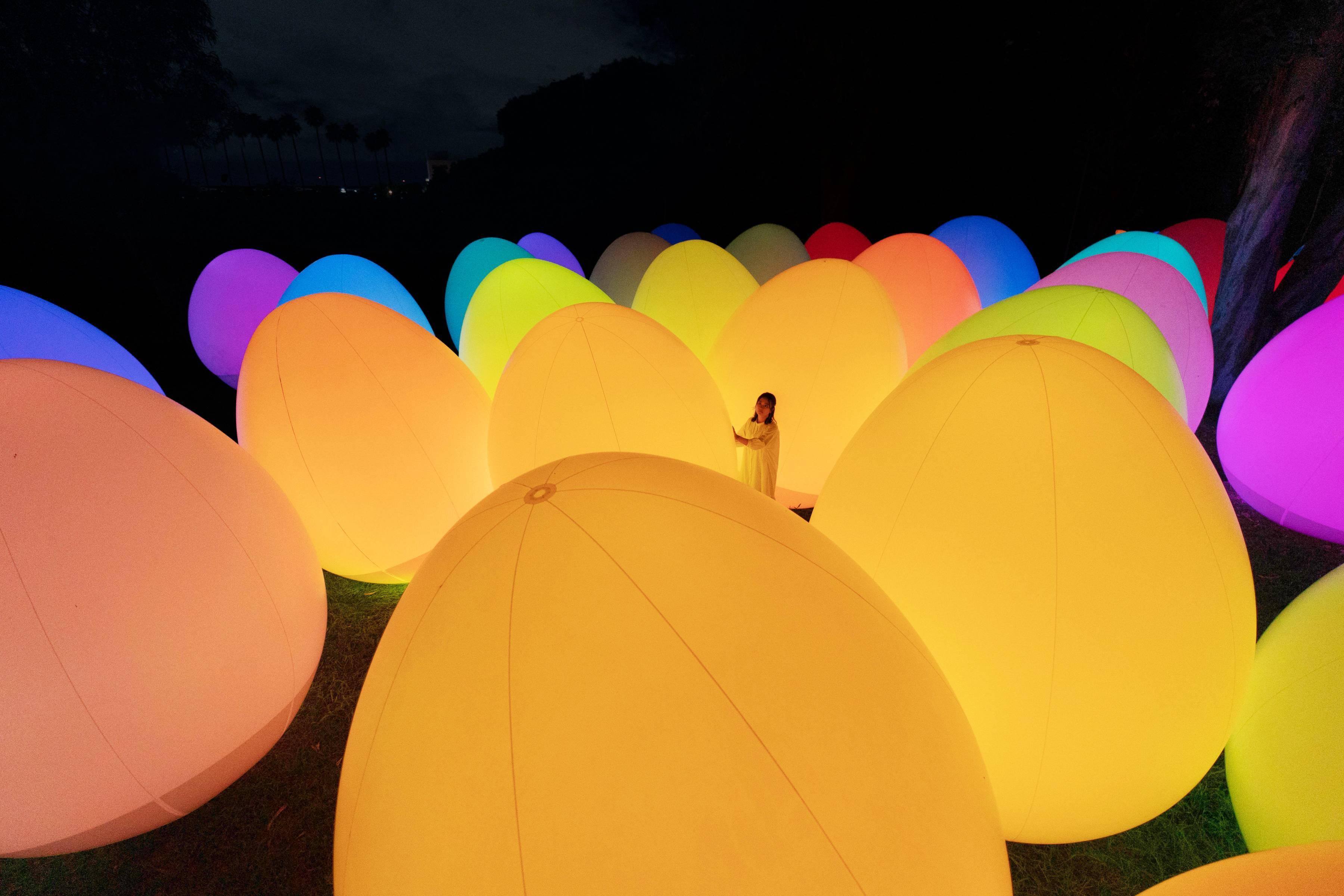 大阪Team Lab Botanical