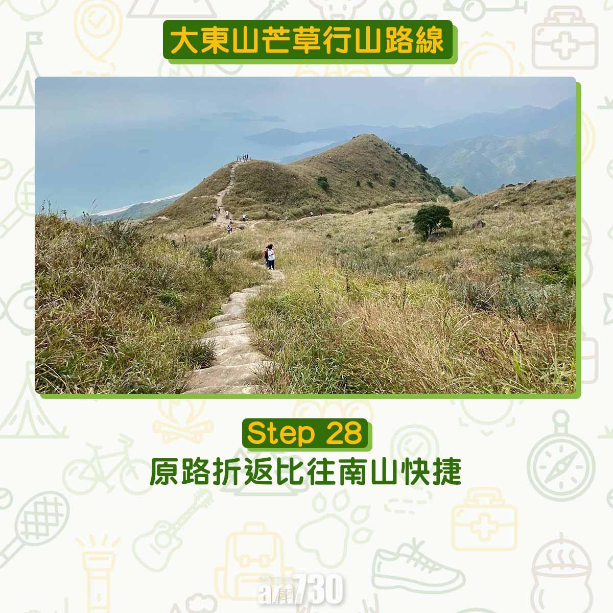 大東山芒草行山路線