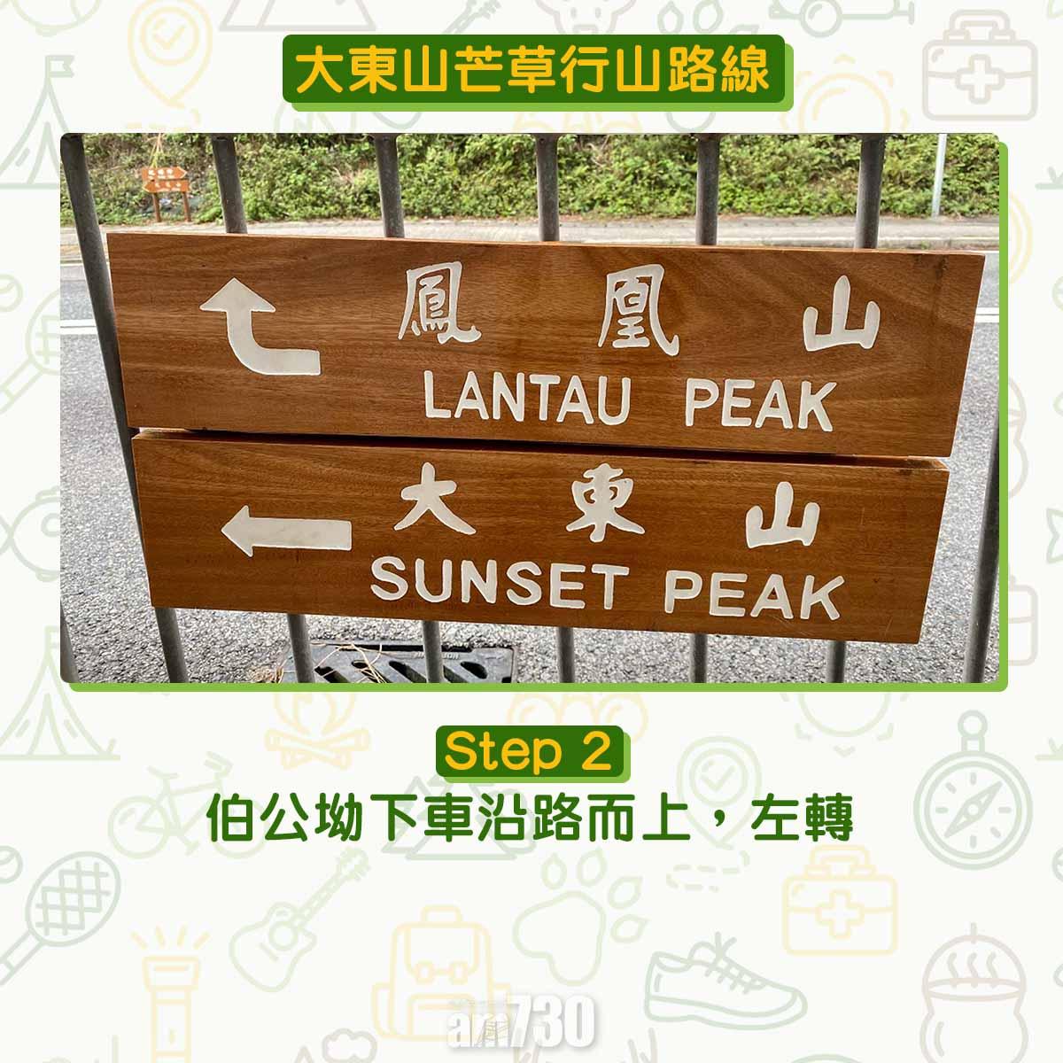 大東山芒草行山路線